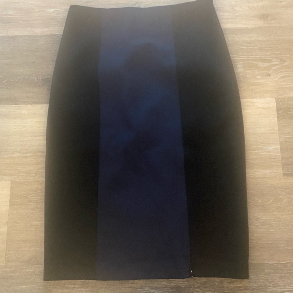 Tristan paneled pencil skirt, size 4